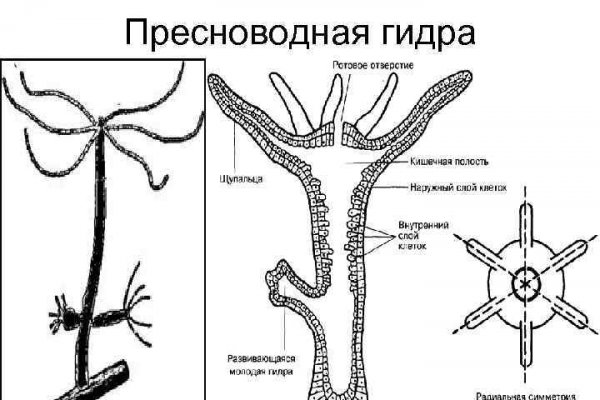 Ссылки рамп зеркала shop magnit market xyz