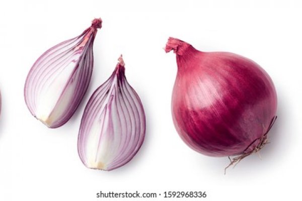 Tor гидра ссылка onion top com