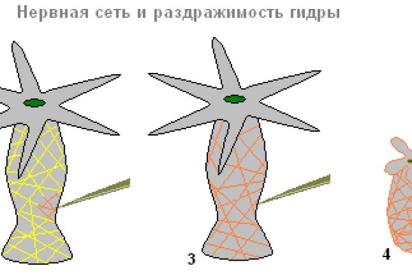 Кракен 9ат