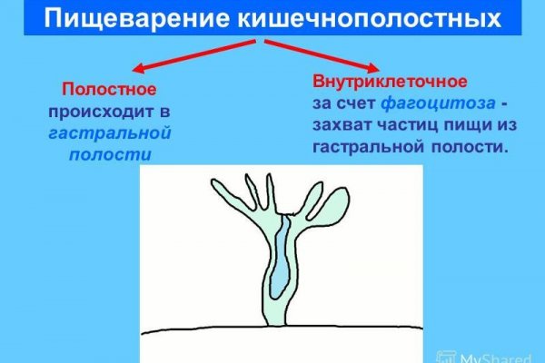 Правильный сайт гидры mega ssylka onion com