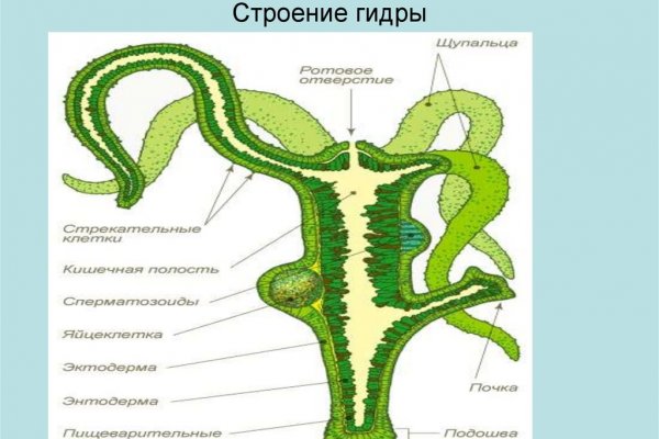 Фейковый сайт крамп kraken ssylka onion
