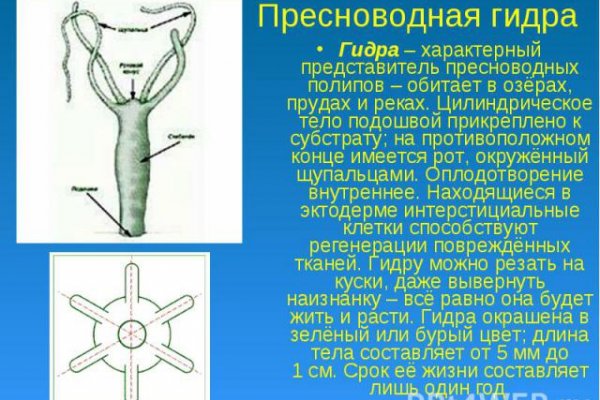 Гидра оф зеркало onion top com