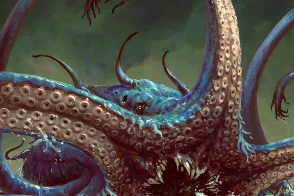 Kraken 6 at