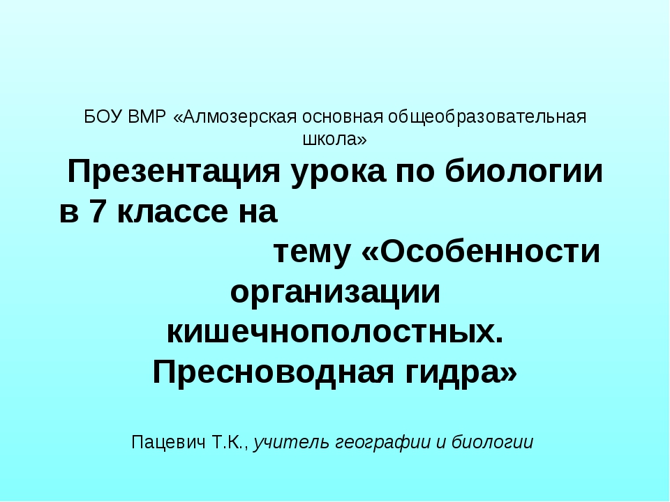 Mega bot не работает megadmeovbj6ahqw3reuqu5gbg4meixha2js2in3ukymwkwjqqib6tqdonion com
