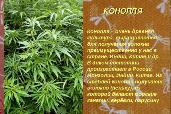 Union кракен сайт